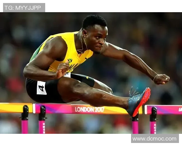 专访杨伟：深入探讨排球运动成功背后的秘密与经验分享