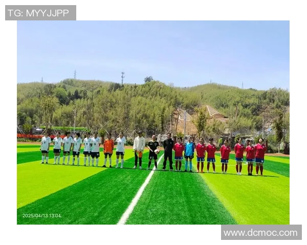 方姓足球明星的辉煌历程与成就解析,探索他们在绿茵场上的精彩瞬间 方姓足球明星的辉煌历程与成就解析,探索他们在绿茵场上的精彩瞬间