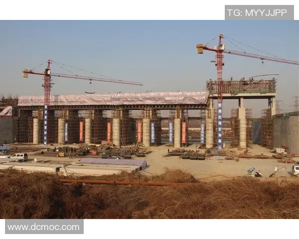 广州羽毛球队逆袭之路联合会杯特别报道展现团队精神与拼搏决心