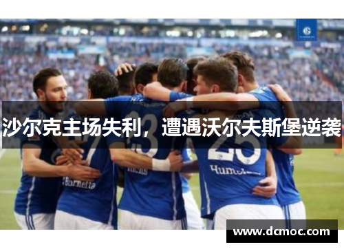 沙尔克主场失利，遭遇沃尔夫斯堡逆袭